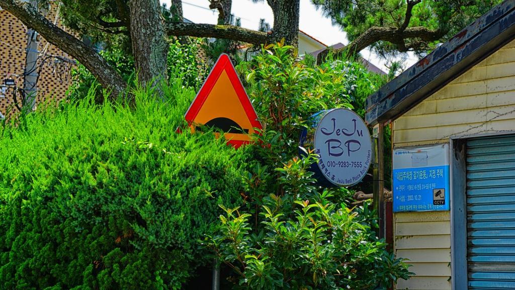 Jeju B.P. Guesthouse Buitenkant foto